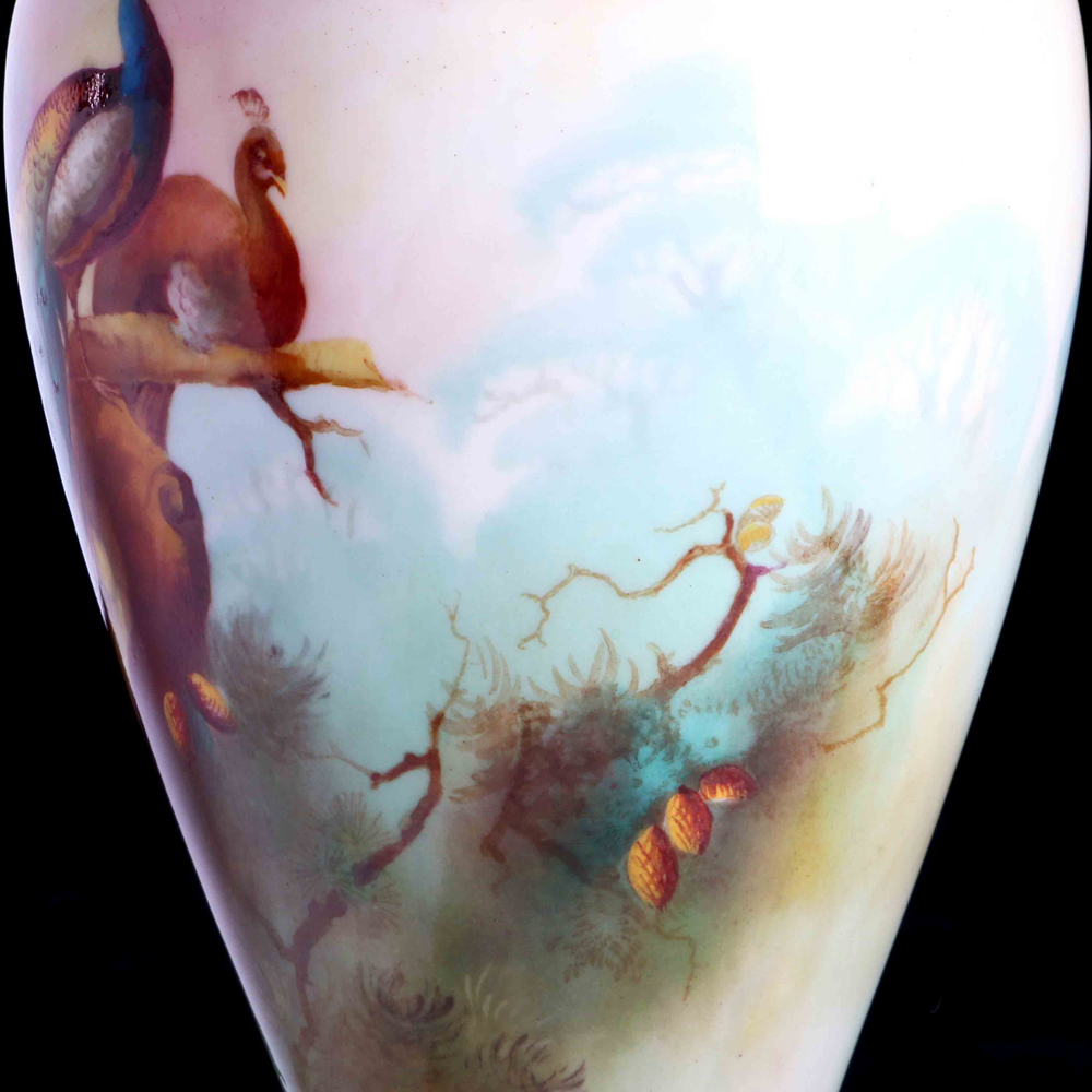 皇家伍斯特全手繪孔雀花器:圖片 3