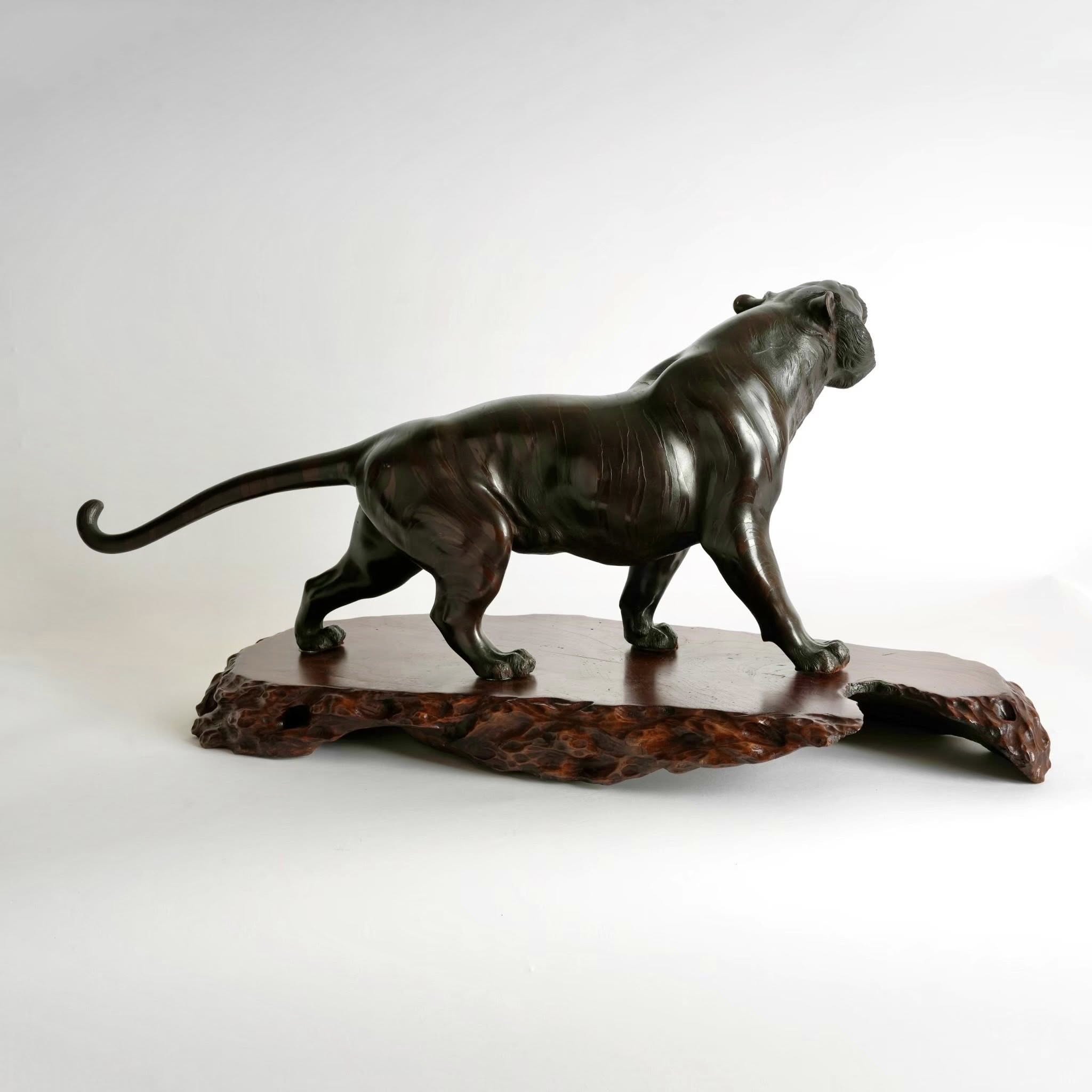 日明治時期寫實主義實木底座老虎銅雕:圖片 3