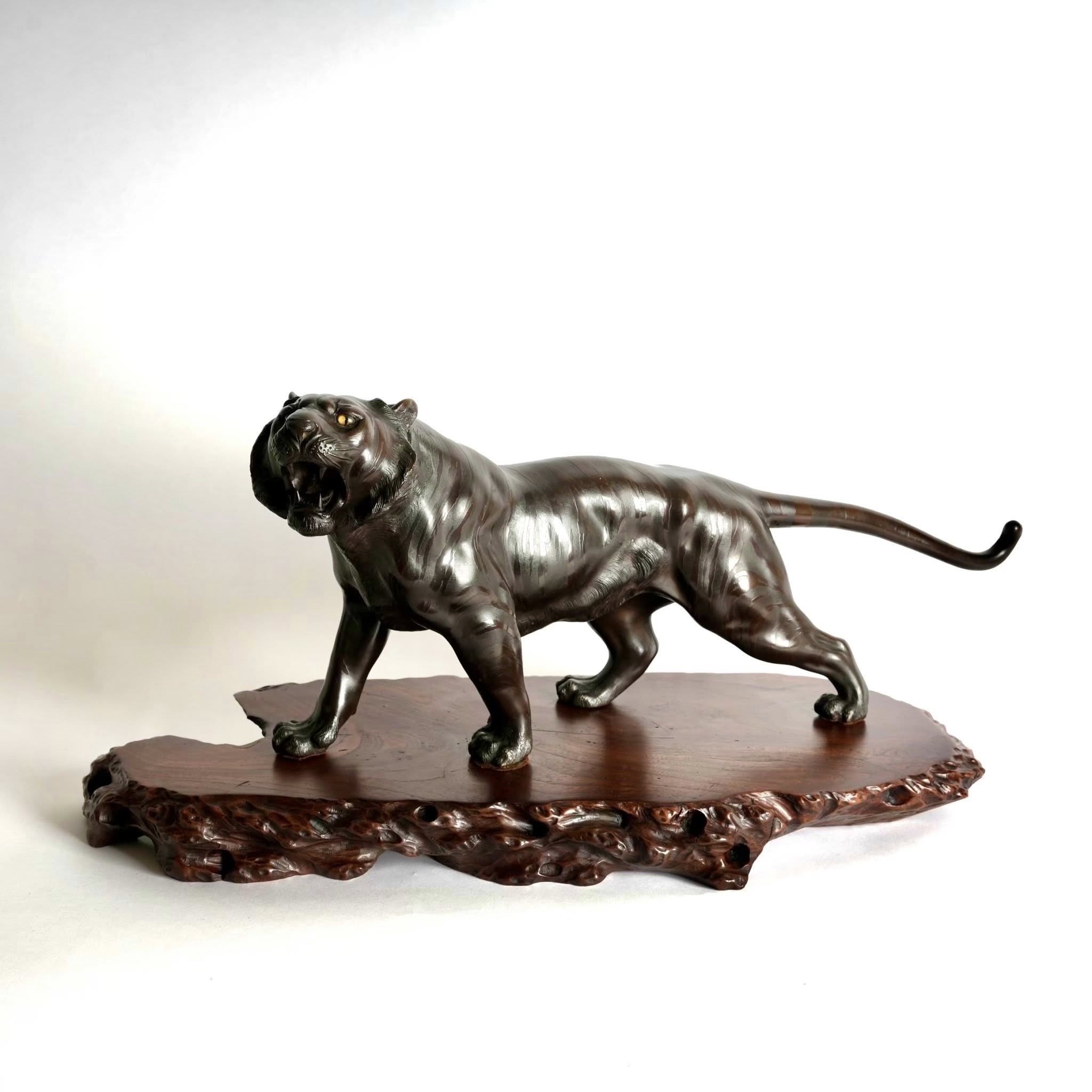 日明治時期寫實主義實木底座老虎銅雕:圖片 2