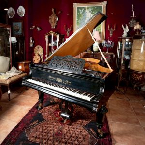 維也納皇家特許Anton Pokorny三角鋼琴